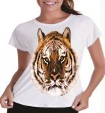 T - Tigre